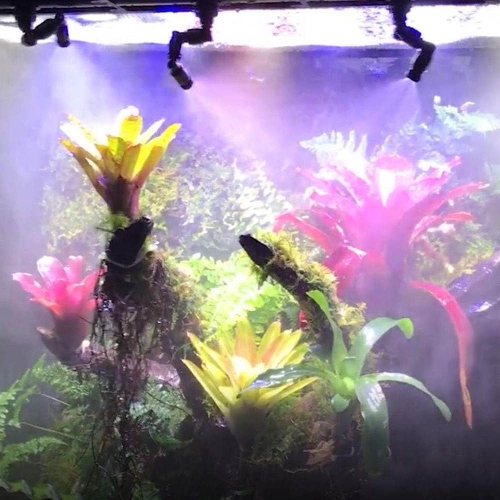 Misting Nozzle Reptile - PP Reptilien-Nebelgerät Schwarz 360 ° Rotierender