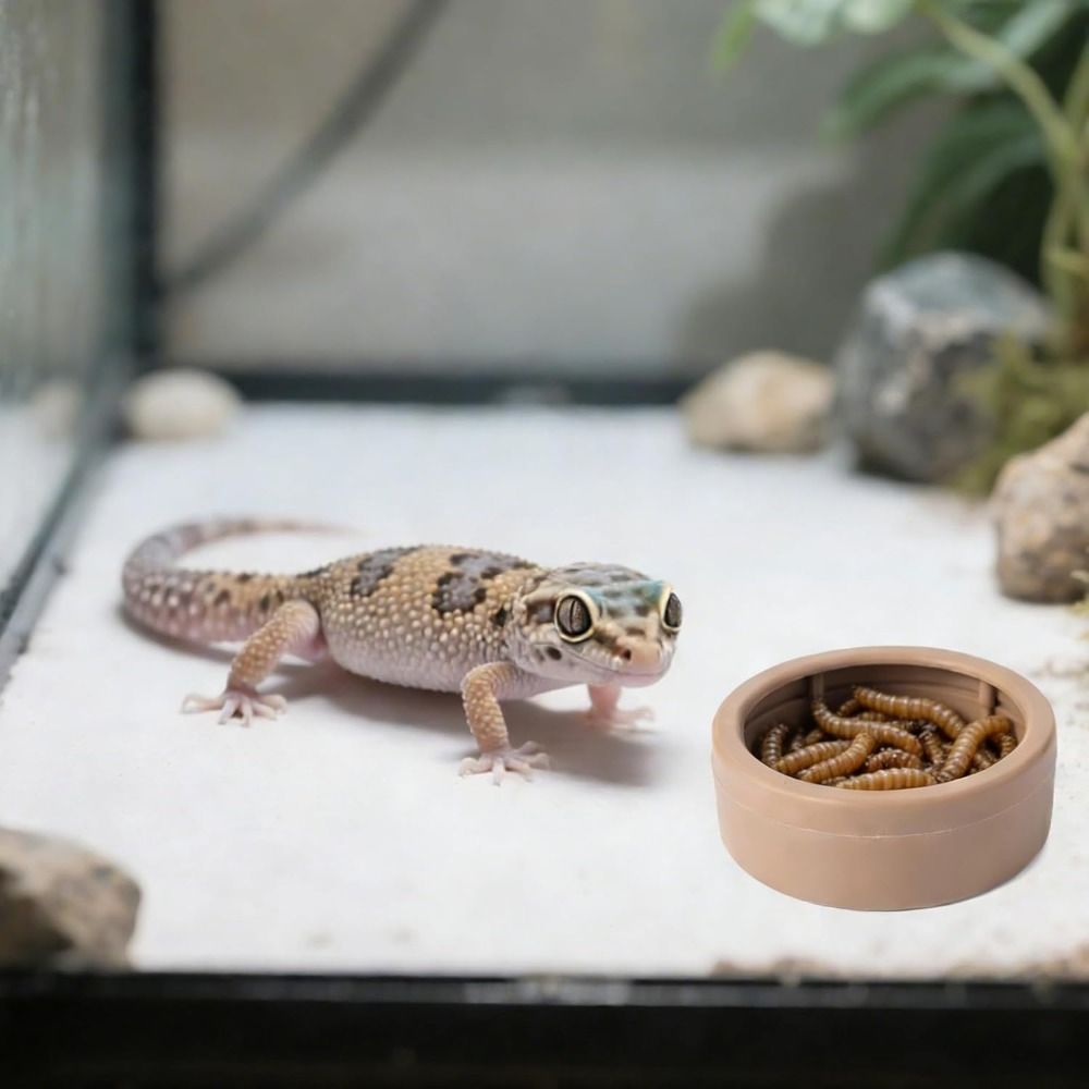 Tragbare Ausbruchsichere Repti – Water Dish Reptile Bewertung und Preis