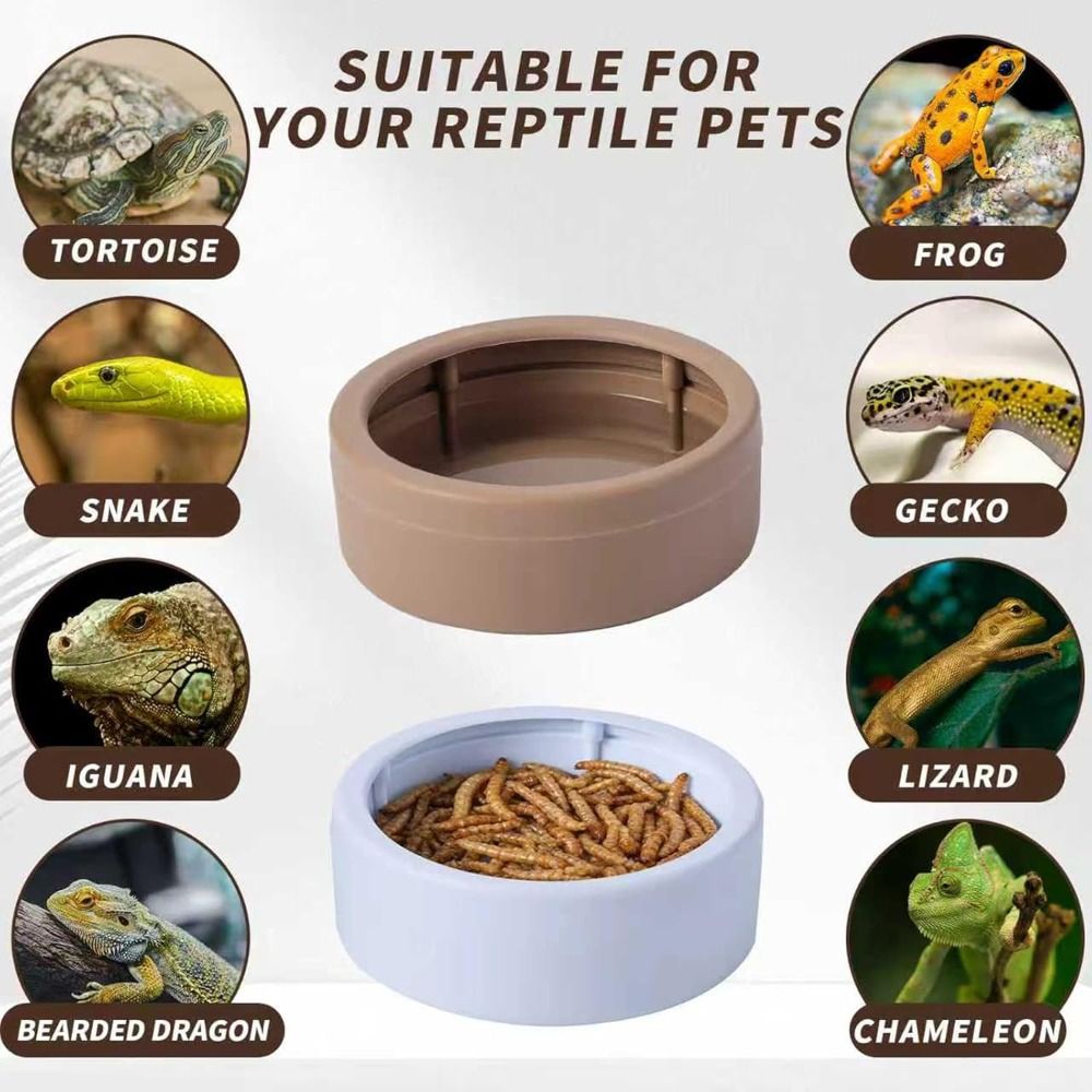 Tragbare Ausbruchsichere Repti – Water Dish Reptile Bewertung und Preis