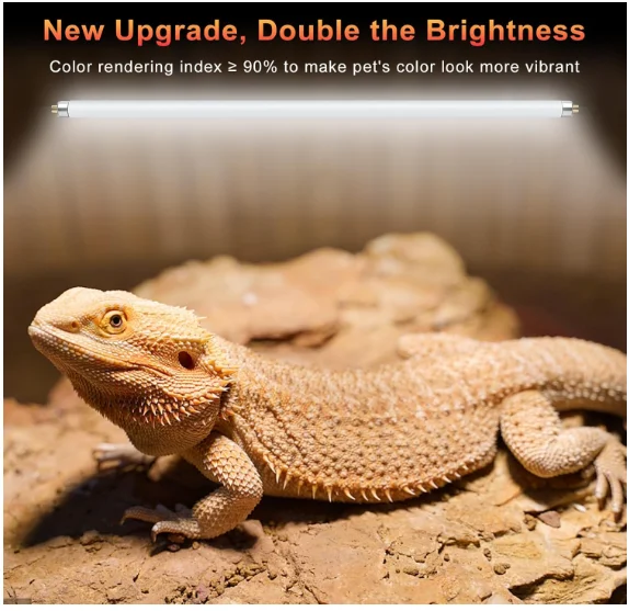 2er-Pack 8W T5 UVB 10.0 Reptil – Vitamin D3 Reptile Bewertung und Preis