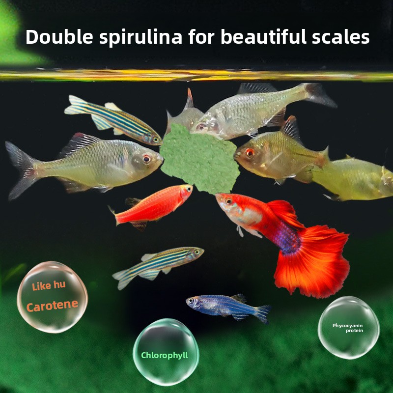 DEERA Tropical Fish Flakes, un – Tetra Food Tropical Flakes Bewertung und Preis