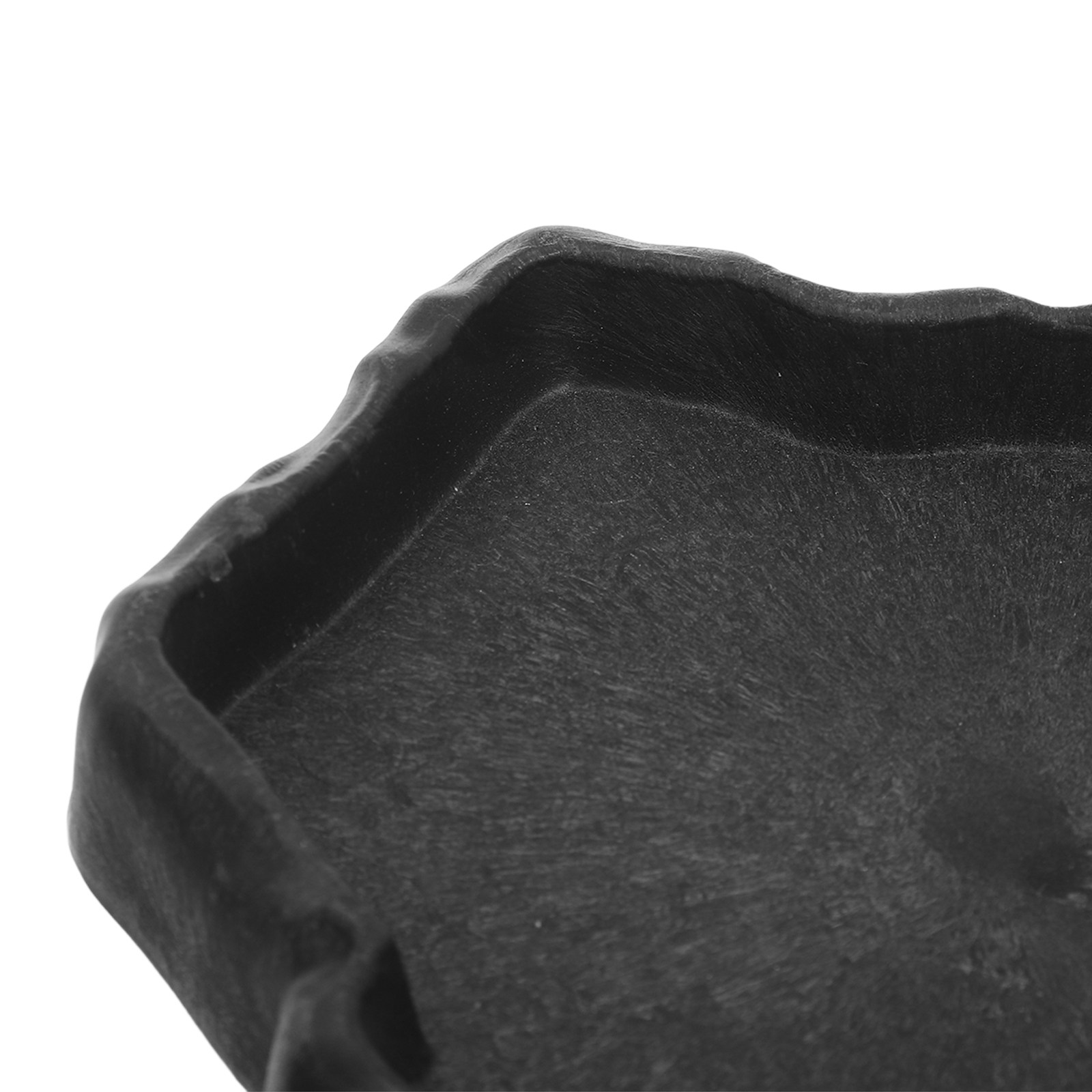 Natürlicher Felsfutternapf für – Water Dish Reptile Bewertung und Preis