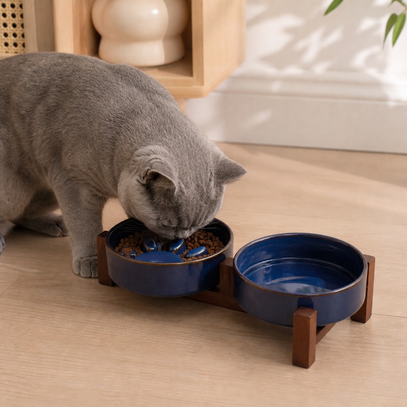 Ofen im japanischen Stil, Kera – Royal Canin Food Medium Bewertung und Preis