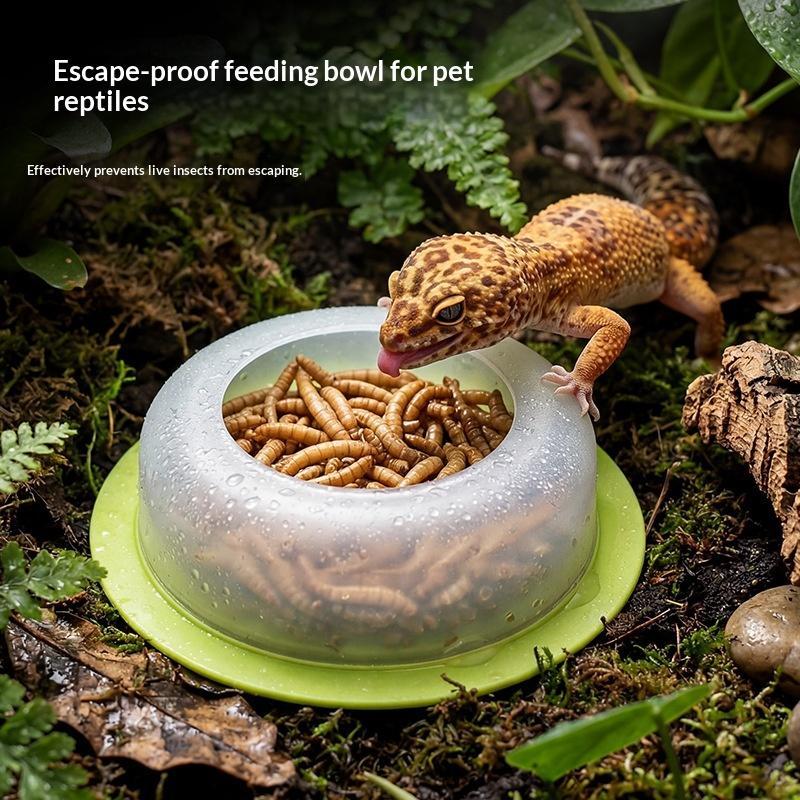 1 Stück ABS Reptilien-Futtersc – Water Dish Reptile Bewertung und Preis