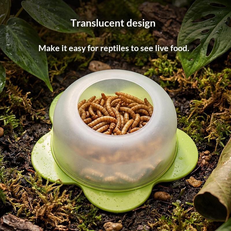1 Stück ABS Reptilien-Futtersc – Water Dish Reptile Bewertung und Preis