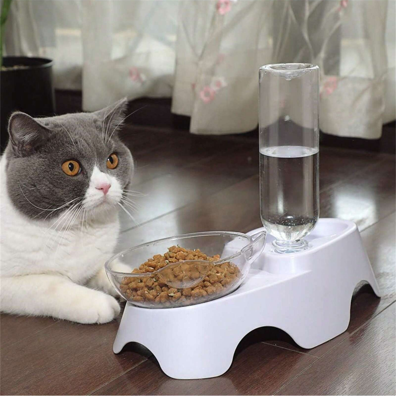 1 Stück Doppel-Hunde- und Katz – Royal Canin Food Medium Bewertung und Preis